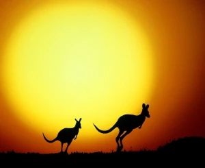 Ausztrália és a napenergia